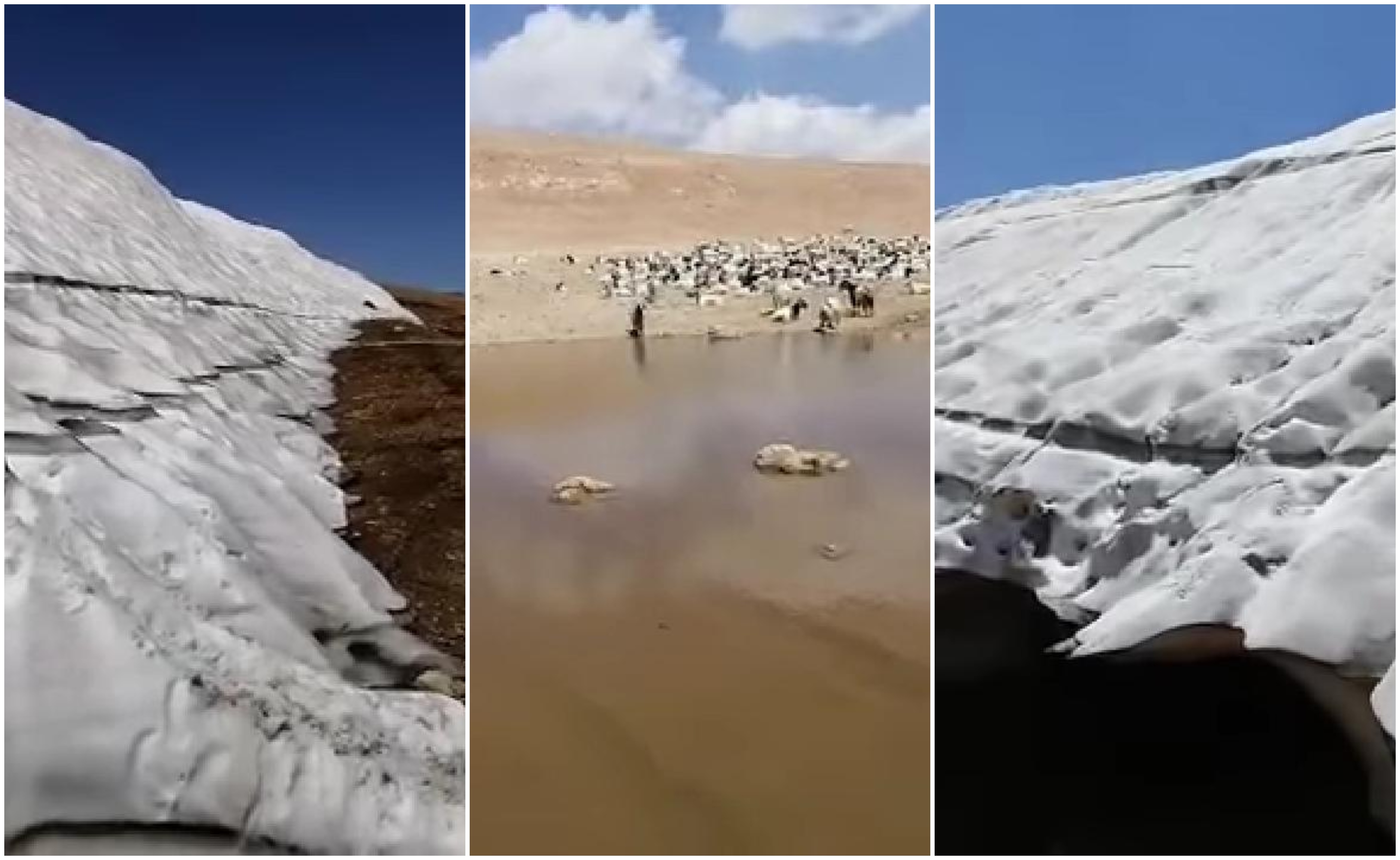 بالفيديو/ الثلوج ما زالت تغطي القمم في القرنة السوداء...زادت سماكة الثلوج عن الـ 10 أمتار