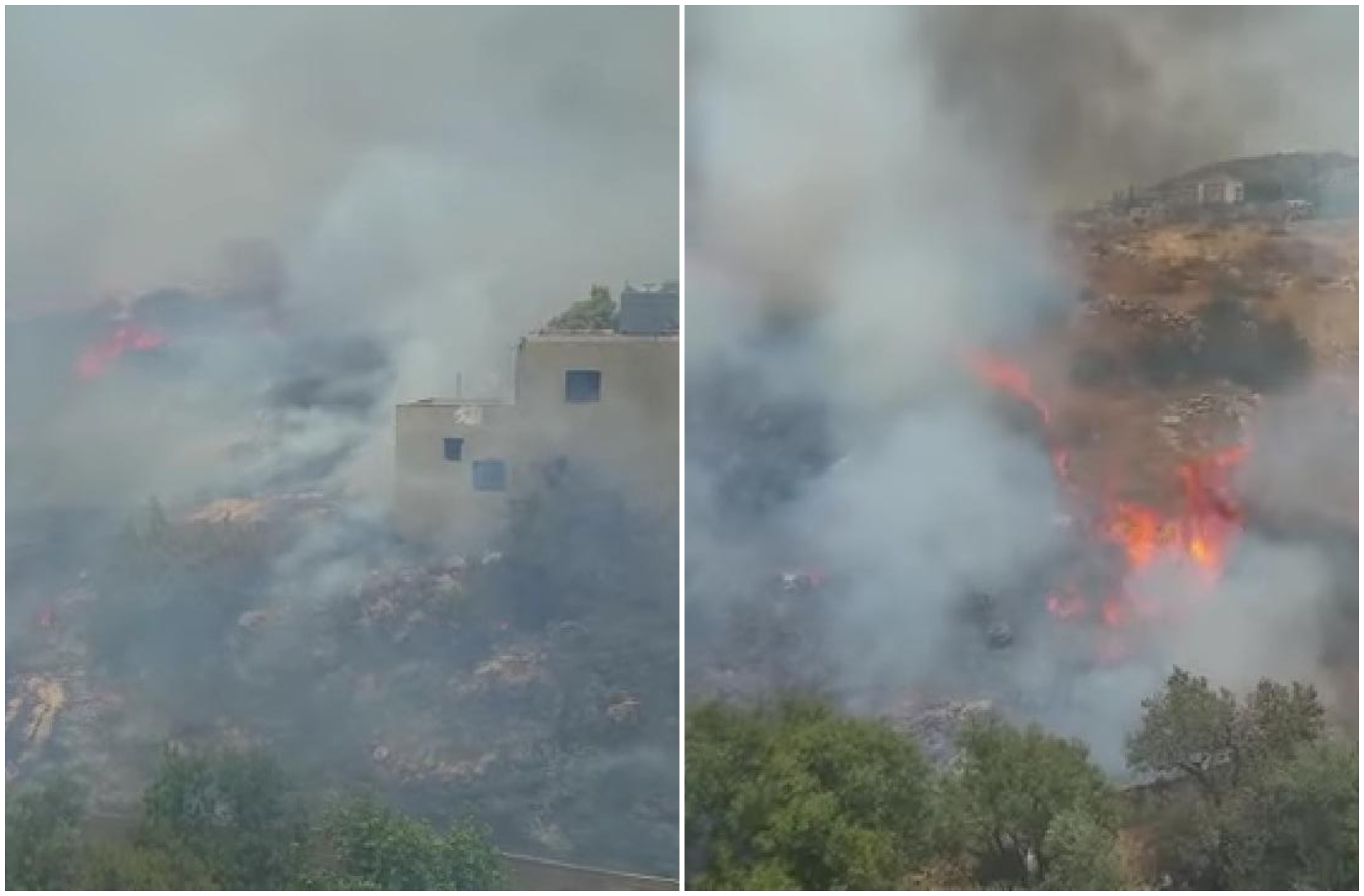 بالفيديو/ حريق كبير في الجية.. النيران طالت المنازل المجاورة والتهمت الاشجار !