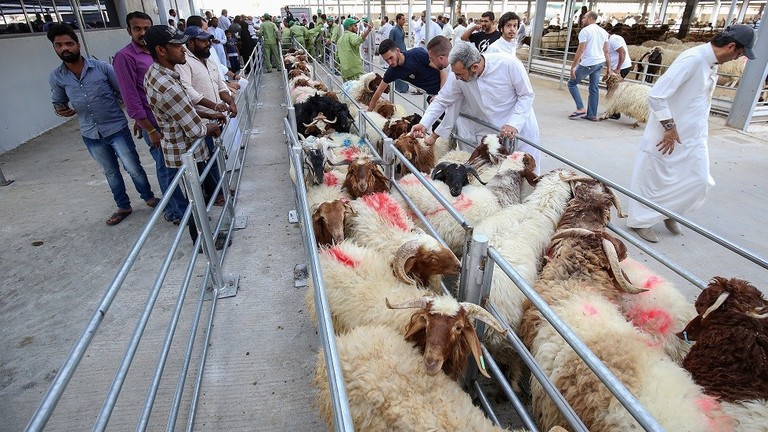 في عيد الأضحى...الكويت تغرم كل من يذبح أضحيته بدون ترخيص 