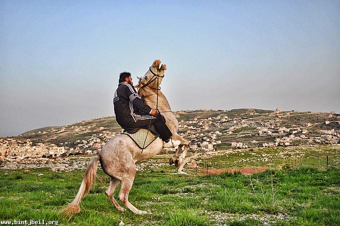 سباق الخيل عند اطراف بنت جبيل