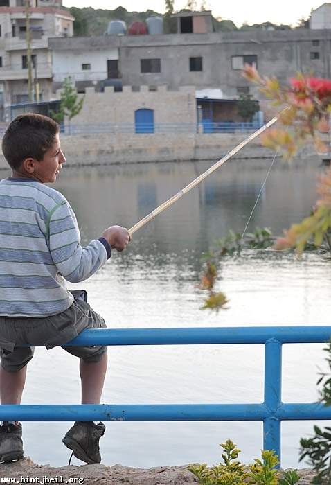 ملايين الاسماك تغزو بركة كونين .. و الصيد  ينتشر  