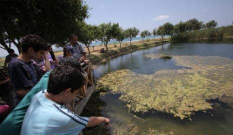 نحو سياحة بيئيّة خضراء في جنوب لبنان 