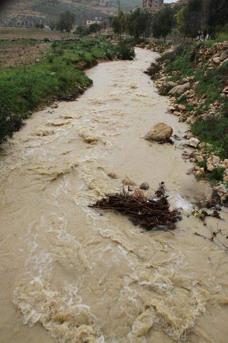 نهر الزهراني يستعيد الحياة‎