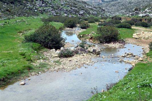 نهر حبّوش.. ثروة ضائعة