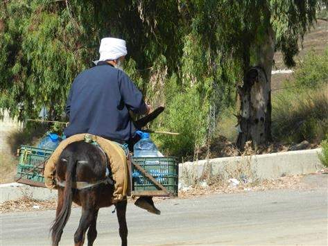 مزارعو الحاصباني يستغلون الليل لريّ حقولهم