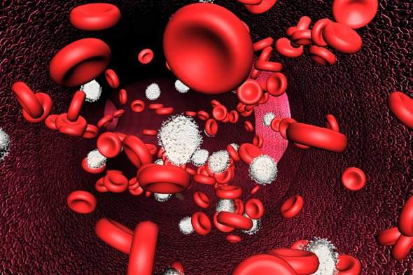 7 أسباب لفقر الدم...إكتشفها