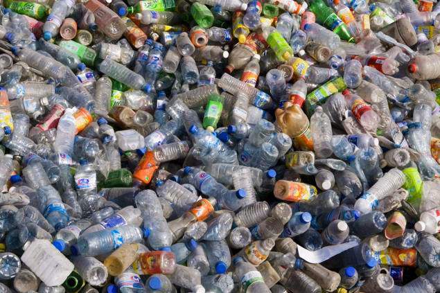 اكتشاف بكتيريا تتغذى على البلاستيك قد تنقذ العالم من أزمة القمامة