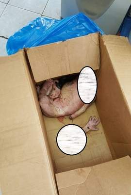 بالصور القاسية.. الرضيع الذي عثر عليه في صيدا مقطوع الرأس واليدين داخل معمل معالجة النفايات	