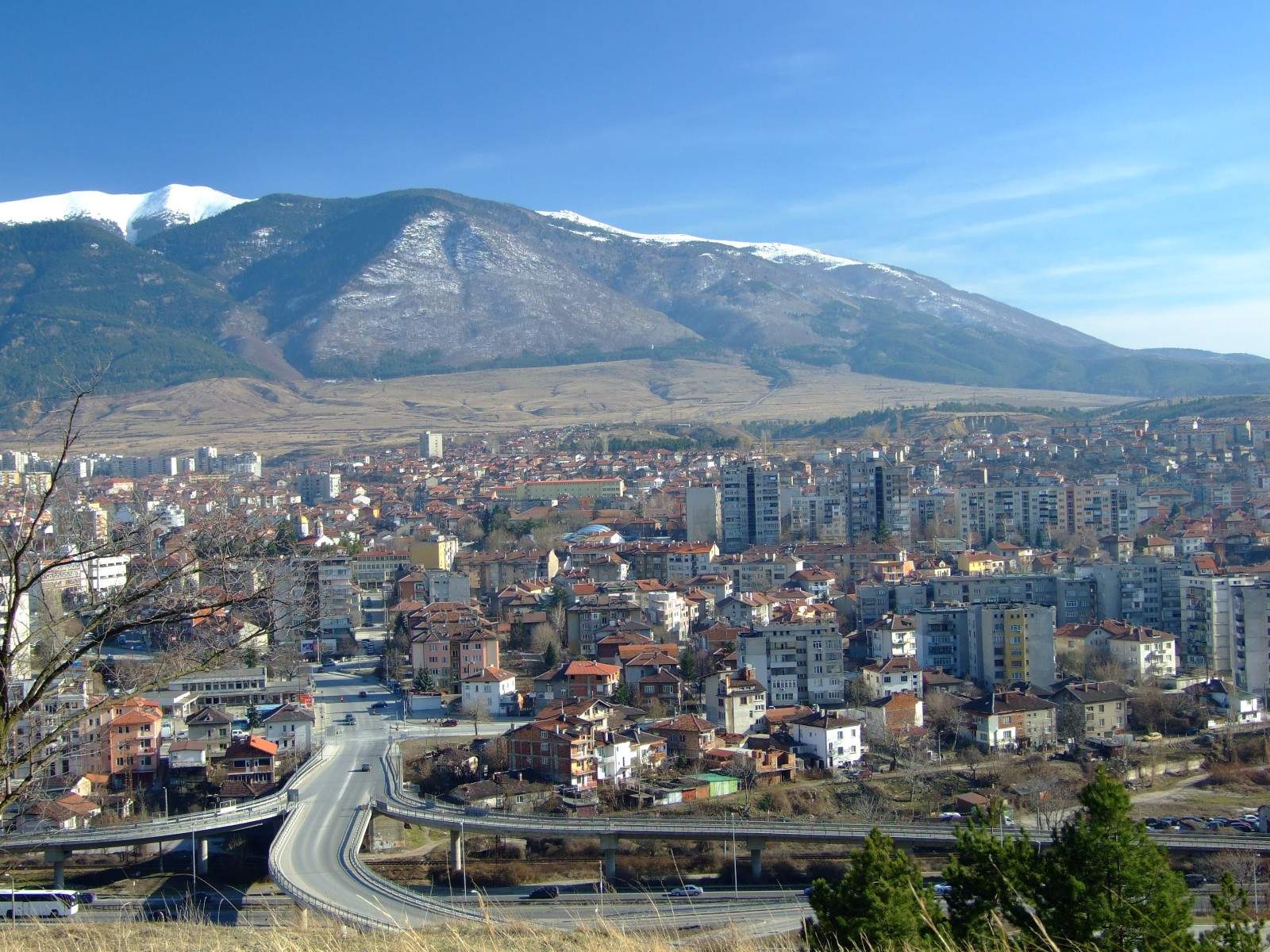 300 شركة لبنانية تعمل في بلغاريا