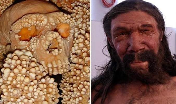 إعادة تشكيل وجه رجل عمره 150 ألف عام