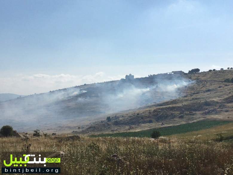 بالصور/ حريق في خلّة المشتى في بنت جبيل