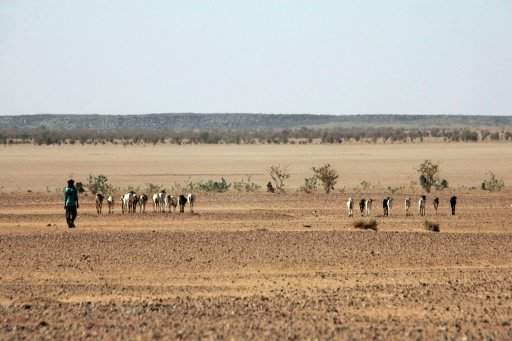 السلطات النيجرية تعثر على جثث 34 شخصاً بينهم 20 طفلاً في الصحراء