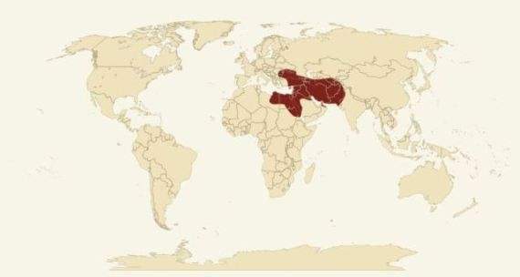 الامبراطورية الاخمينية