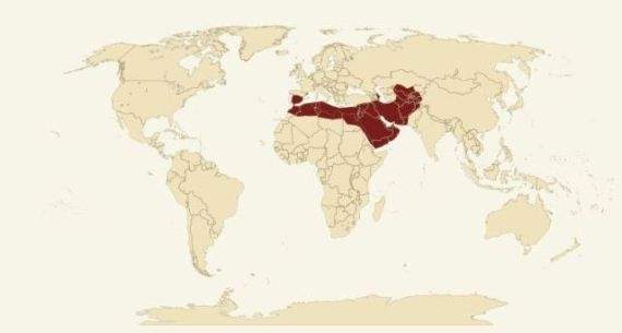 الامبراطورية المنغولية