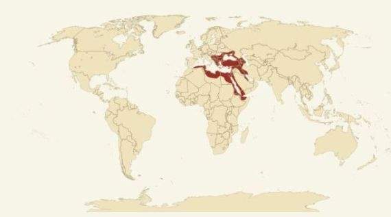 الامبراطورية العثمانية