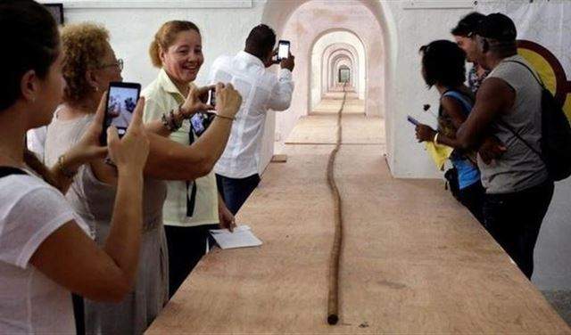 سيجار بطول ملعب كرة قدم هدية لكاسترو في عيد ميلاده