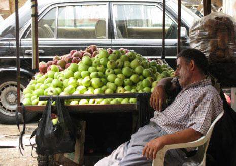 إنتاج بلا أسواق و&laquo;لَعْيٌ&raquo; مستمرّ: التفاح اللبناني وجهته التلف!