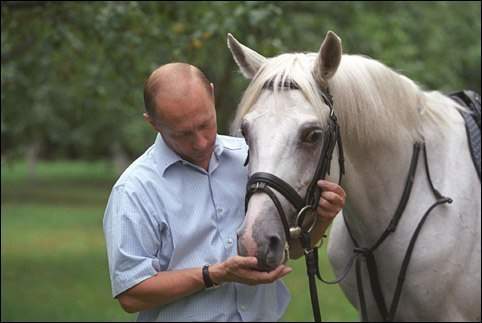 بالصورة - بوتين يهدي ترامب حصاناً بقيمة 10 مليون دولار 