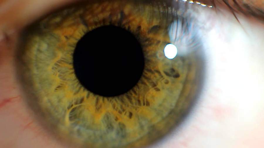 ثورة علمية في مجال زراعة شبكية العين