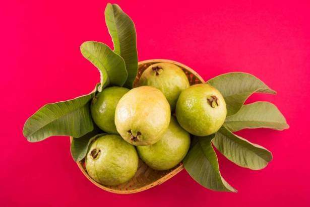 أوراق الجوافة وخل التفاح ... وصفات طبيعية للتخلص من السعال الى الأبد!