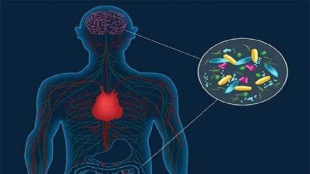 مزاج الإنسان مرتبط بجراثيم تعيش في أمعائه