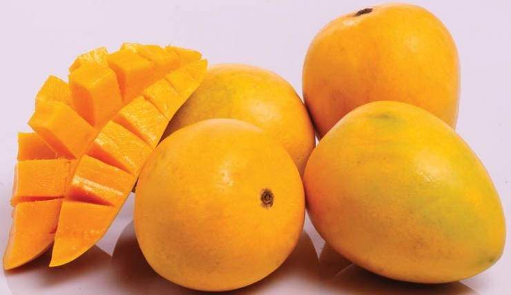فوائد لا تُصدق لفاكهة المانغا.. ما تفعله بجسمكم مثير!