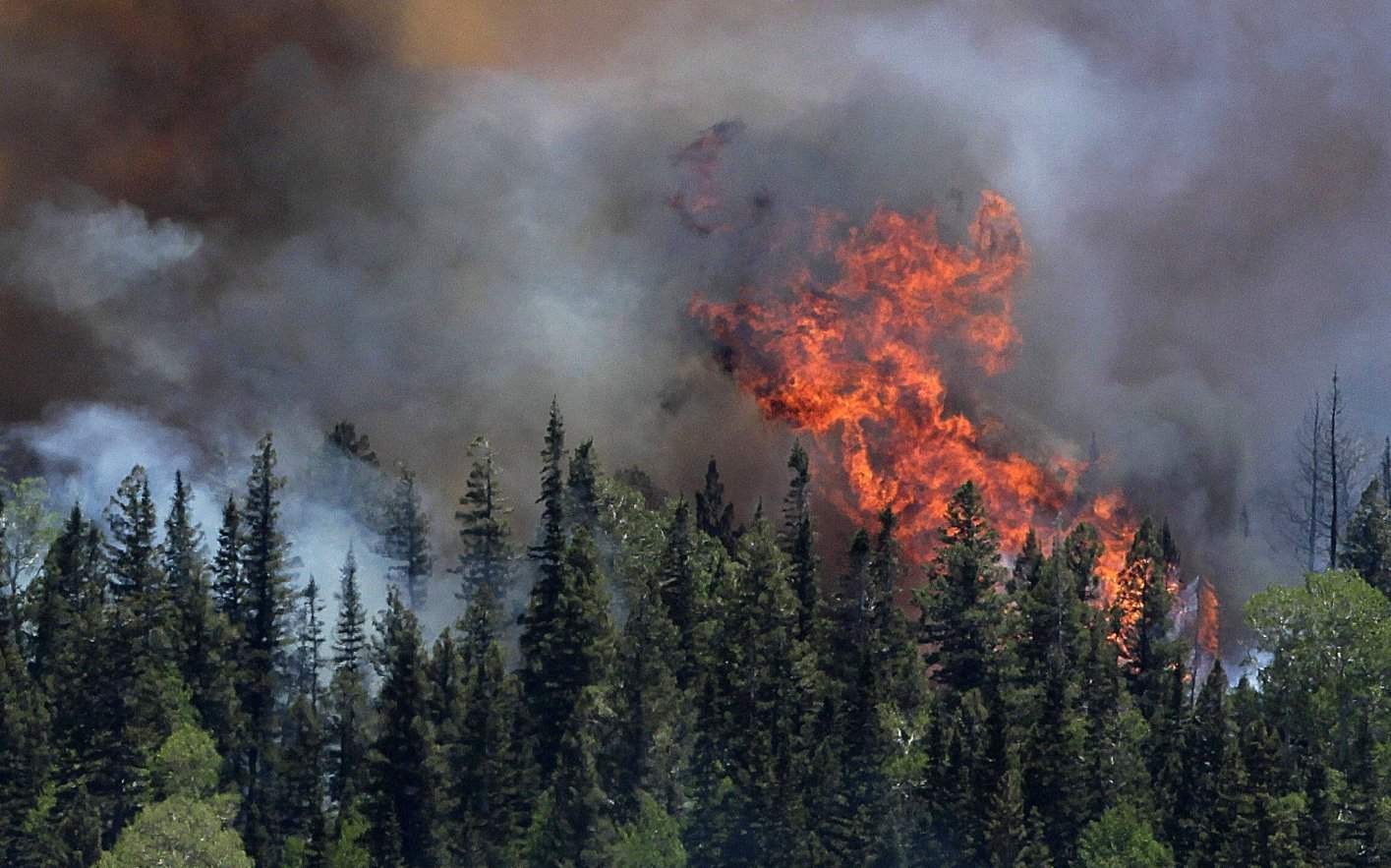 غابات لبنان تتآكلها النيران و &ldquo;Fire lab &rdquo; نظام للتنبّه من الخطر قبل أيام
