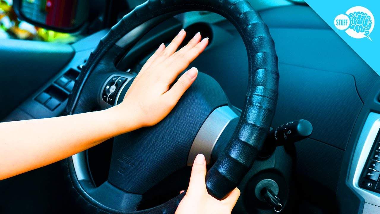 العلماء سيستبدلون الزمور بأصوات البط.. لهذه الأسباب!