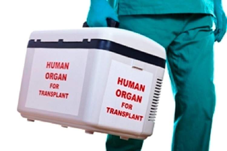 توقيف &quot;بطروسة&quot; بتهمة الاتجار بالاعضاء البشرية في لبنان !