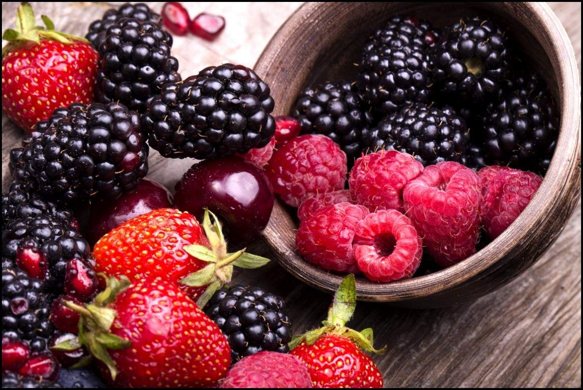دراسة: التوت البري يعزز صحة الأمعاء