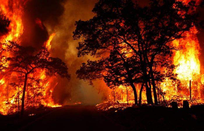 ارتفاع الحرارة يشعل آلاف الحرائق في العالم
