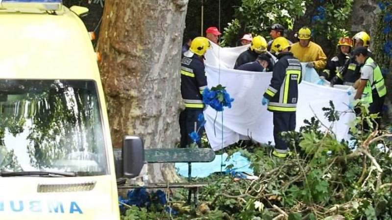 13 قتيلاً في سقوط شجرة معمرة على مصلين في جزيرة ماديرا البرتغالية