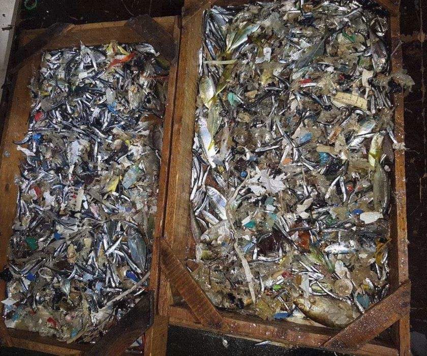 أشد العقوبات على إستعمال البلاستيك في كينيا...ولبنان يستضيفه في بحره!