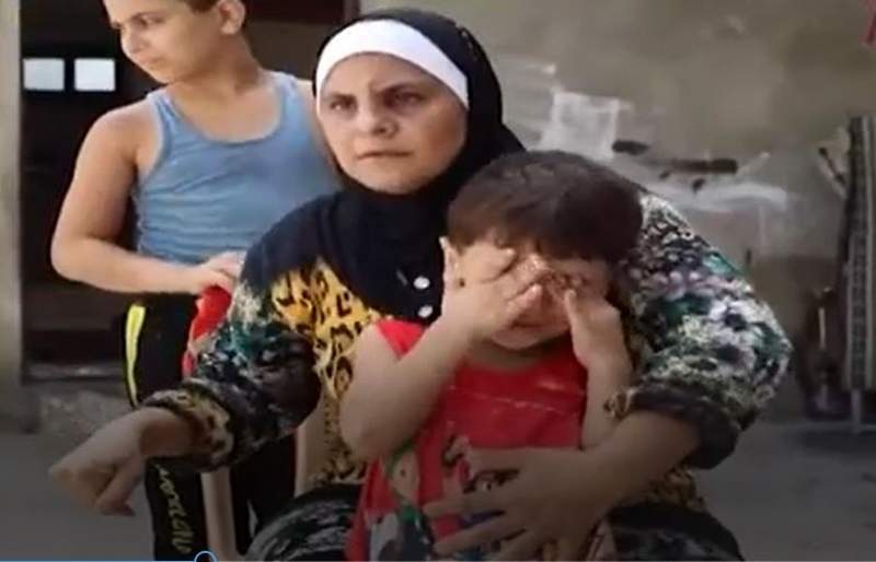 بالفيديو.. ضحى ابنة الضنية تستنجد من عين الحلوة!