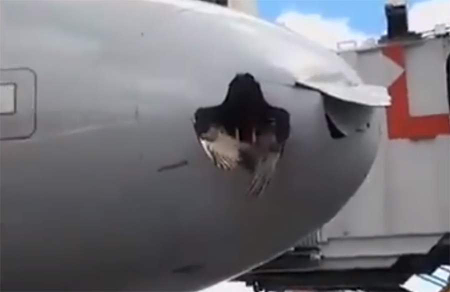 بالفيديو/ &quot;راكب&quot; غير متوقع ملتصق بمقدمة الطائرة...هبوط الطائرة والطائر
