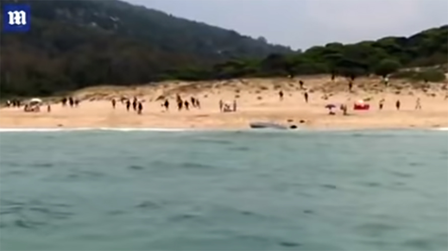 بالفيديو / عشرات المهاجرين يخطئون الهدف وينزلون عند شاطئ للعراة
