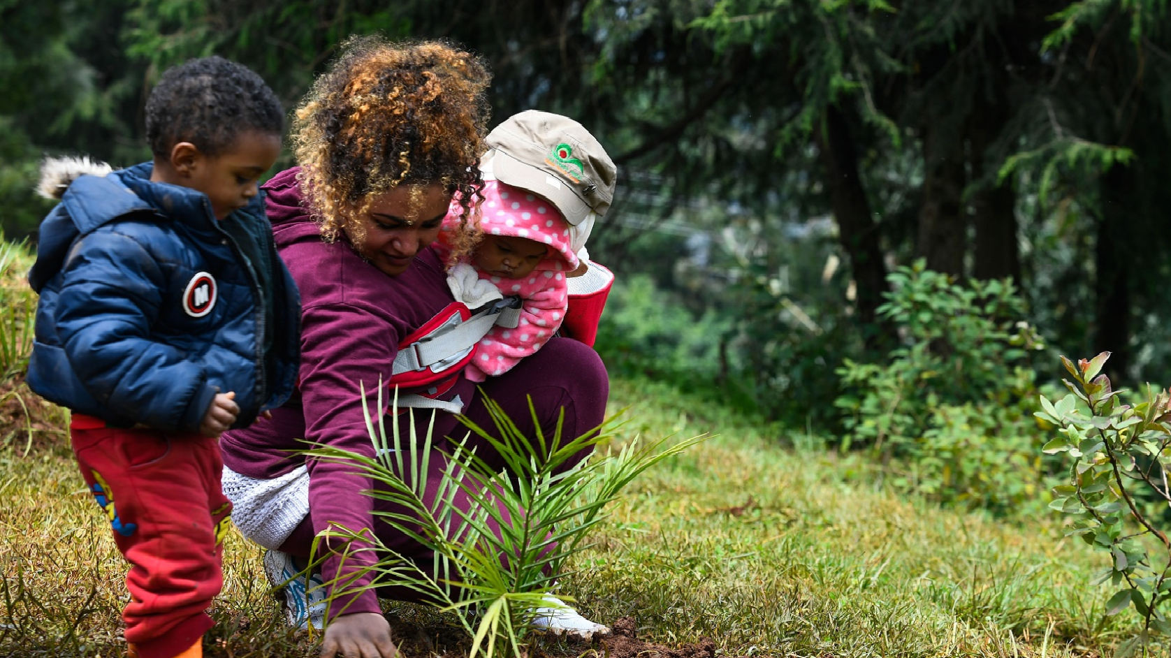 أثيوبيا تقوم بمبادرة &quot;خضراء&quot; مميزة...تم زرع 224 مليون شجرة في يوم واحد ومُنح الموظفين إجازة للمشاركة!
