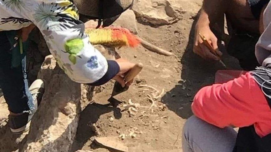 بعد الجدل... بيان توضيحي من المديرية العامة للآثار عن عظام الطفل المعثور عليها في قلعة بعلبك
