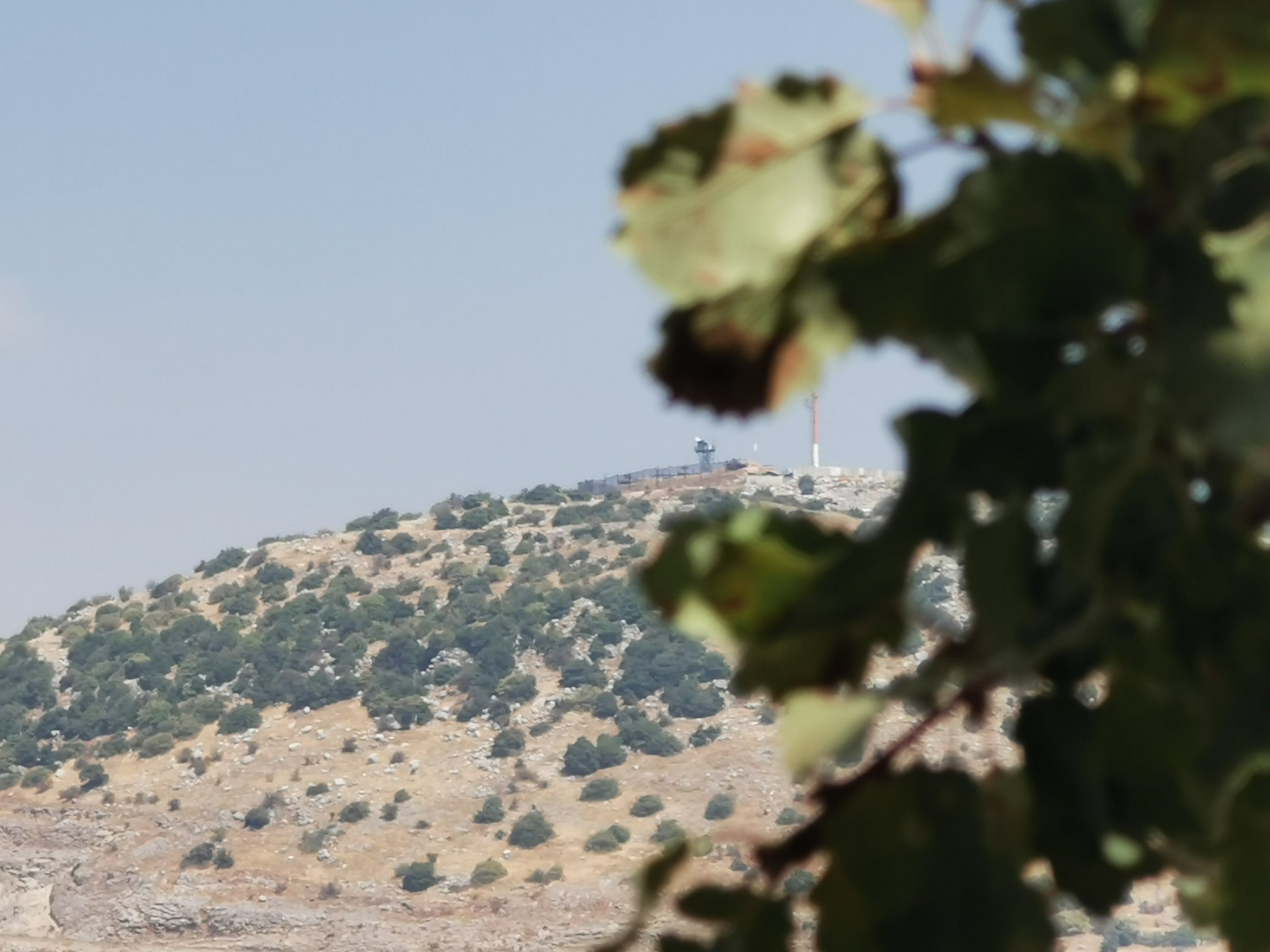 قوات الاحتلال الاسرائيلي سرقت قطيع ماعز يعود لراعي لبناني أثناء وجودها قرب خط الإنسحاب في مرتفعات كفرشوبا!