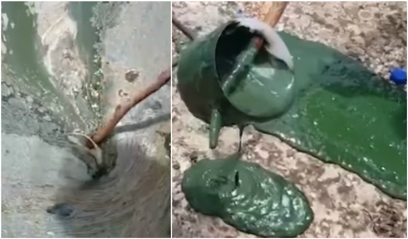 بالفيديو/ وحش السيانوبكتيريا في بحيرة القرعون...والحركة البيئية تسأل: اليست هذه المياه المخلوطة بمياه سد بسري هي التي تعدون بها مليوني انسان في بيروت الكبرى؟