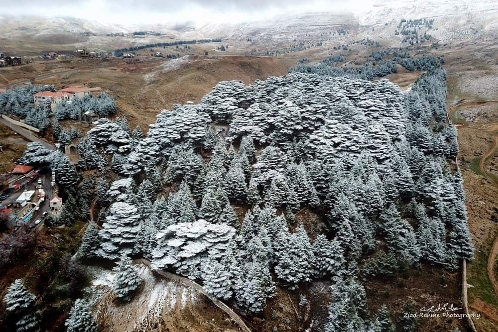 المنخفض الجوّي على لبنان يبدأ صباح اليوم الأحد...عواصف رعدية وأمطار وثلوج 