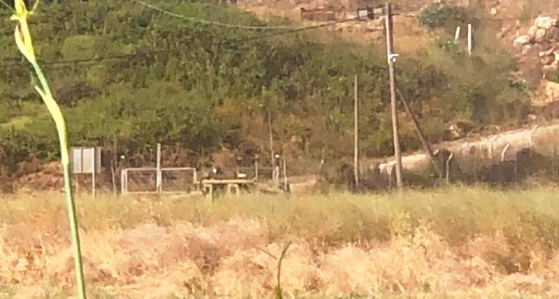 دورية للاحتلال الاسرائيلي عند الشريط التقني ورفع سواتر ترابية قبالة متنزهات الوزاني