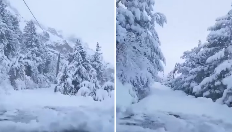 بالفيديو/ الثلوج في بلدات قضاء بشري وصلت الى 30 سنتمترا... والمدارس والمعاهد أقفلت أبوابها