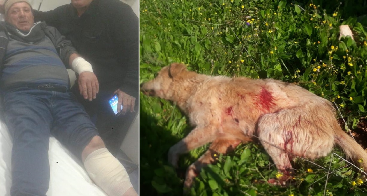 بالصور/ كلب شارد يهاجم إبن الـ60 عاماً &quot;اسد زيتون&quot; في بلدة كفرتبنيت النبطية