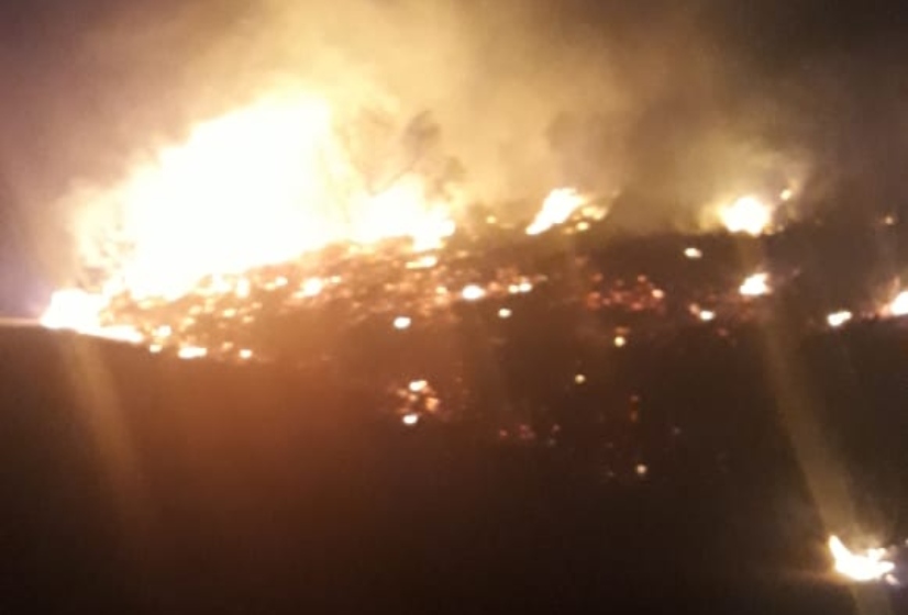 مساع من الدفاع المدني لإخماد حريق في حرج صنوبر وسنديان في خراج بينو