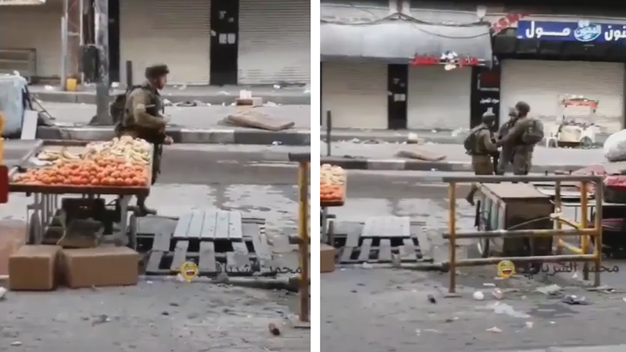 بالفيديو/ &quot;إسرائيلي&quot; يسرق الفاكهة من بسطة خضار في الخليل