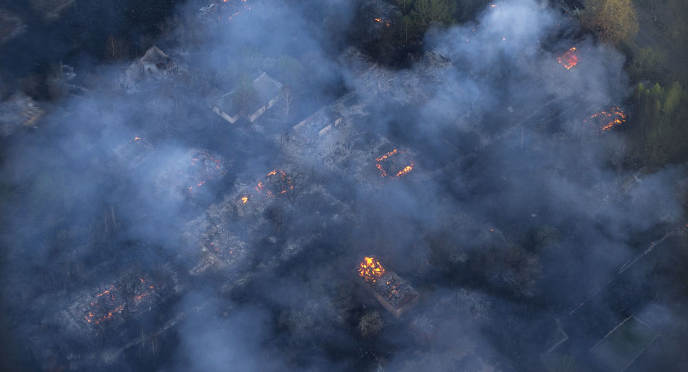 عقوبة الأشغال الشاقة تنتظر كل من يضرم النار عمداً في الغابات السورية