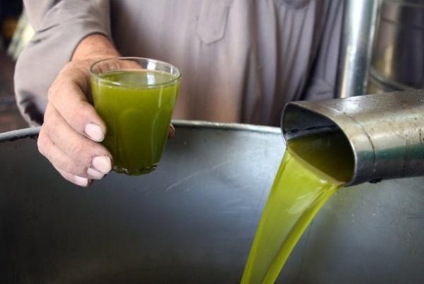 غش في الزيت: الزيت الذي يستهلكه الشعب اللبناني في تسعين بالمئة من المطاعم اللبنانية هو زيت بذور نباتية مستورد مستخرج بالمذيبات العضوية