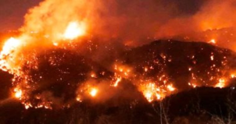 الـ ABC تتبرع بمبلغ 100 مليون ليرة لجمعية جذور لبنان للمساهمة في إعادة تشجير الغابات بعد الحرائق