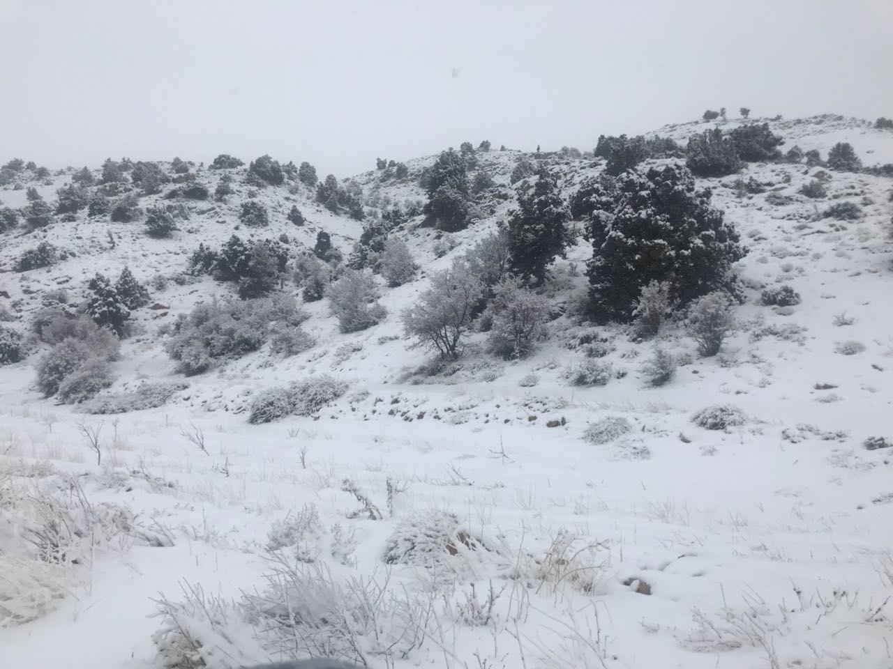 تساقط الثلوج في الهرمل أدى إلى عزل قرى جبلية وقطع طرقات 